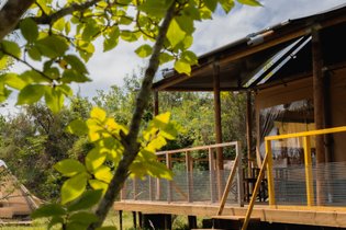 Maasai Mara, classique