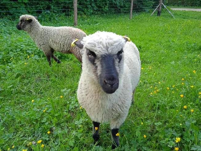 Domaine AbracadaRoom : Ecoland - Image 7