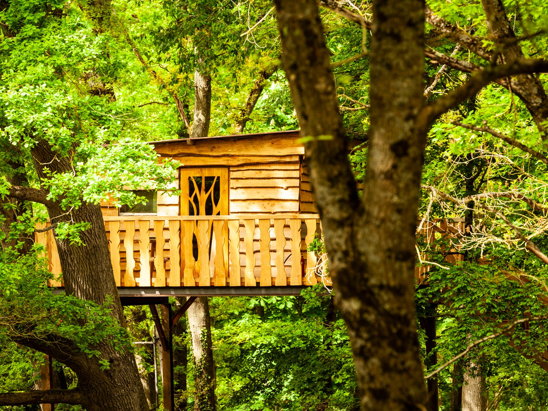 CABANE PERCHÉE CHEZ YAHMZ