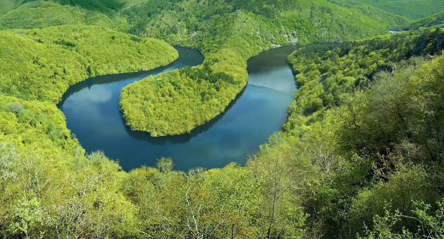 Domaine AbracadaRoom : Moose Tiny House Ambur - Image 33