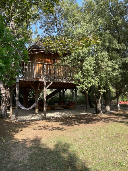 Hébergement AbracadaRoom : Lodge dans les arbres - Piscine et tennis - Image 3