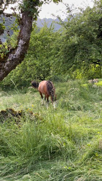 Hébergement AbracadaRoom : La Mine de Buck & Spa - Image 13