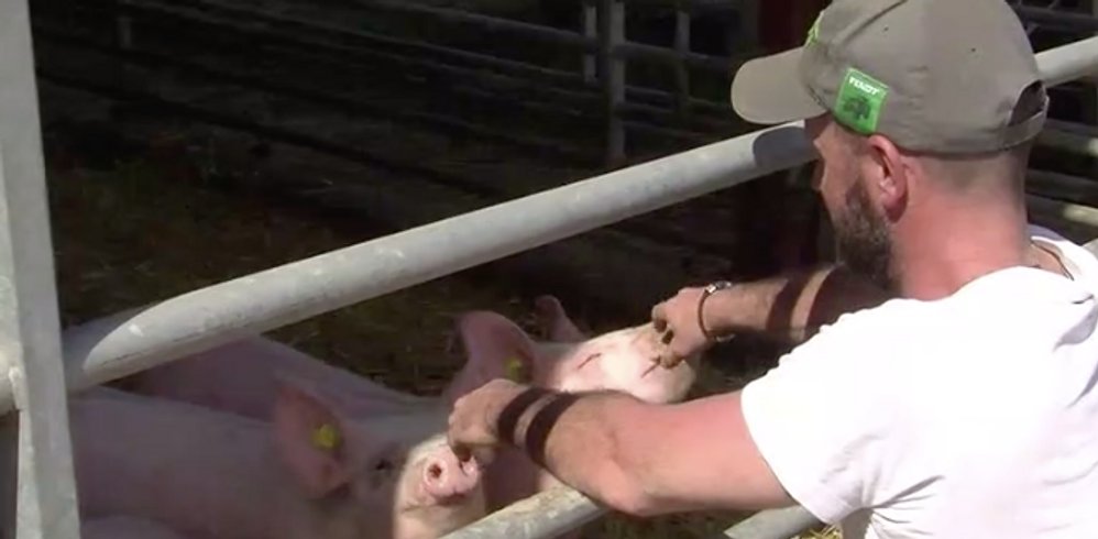 Domaine AbracadaRoom : Ferme des Coutures - Image 10