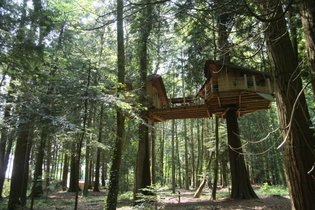 Cabane Familiale La Barbe