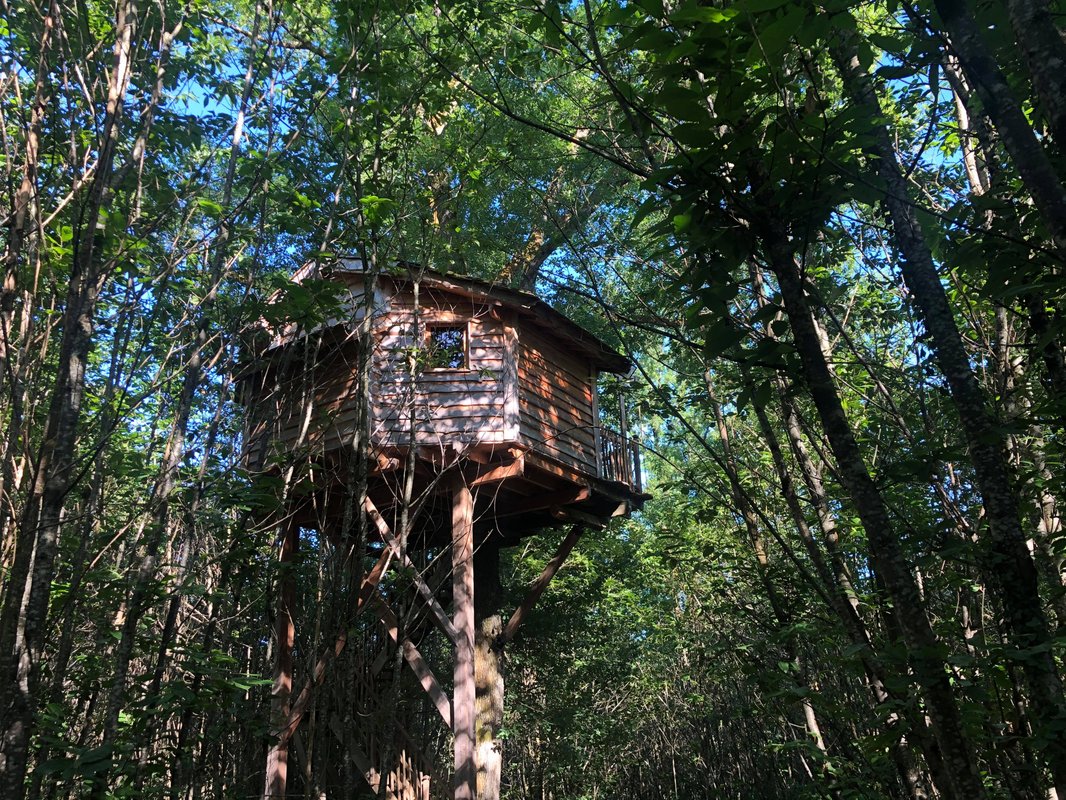 Cabane Ecureuil à Lempzours (8)