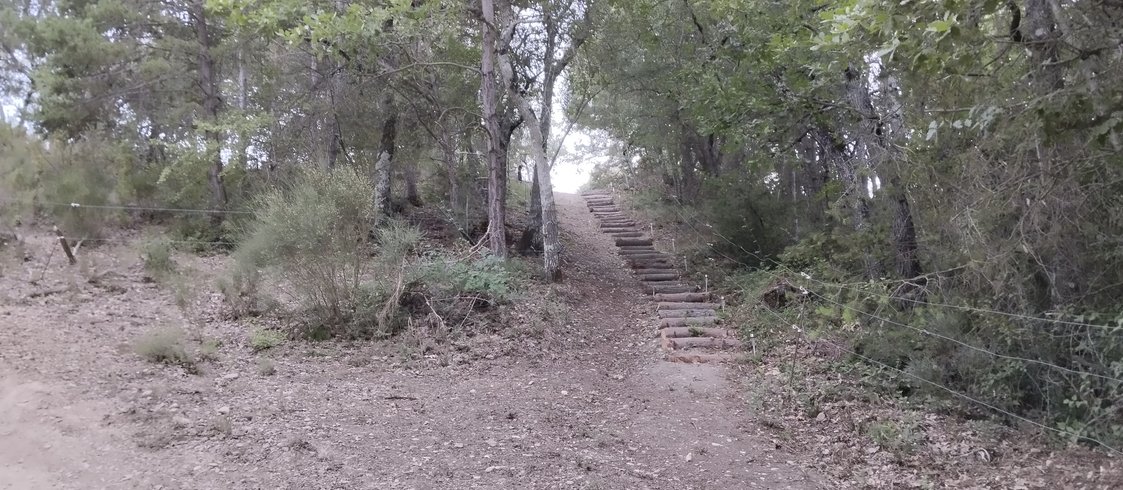 Hébergement AbracadaRoom : Roulotte connexion au vivant - Image 9