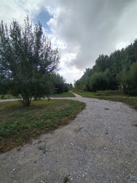 Hébergement AbracadaRoom : Le Dôme de Draëck & Sauna privatif - Image 17