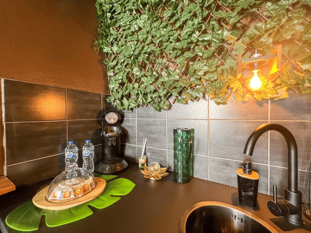 La Tanière de Mowgli - Plage du môle - Jungle Room à Cap D’agde (9)