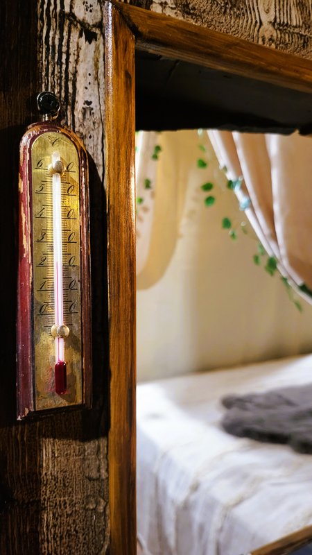 L'auberge du Trône à Saint-Étienne (9)