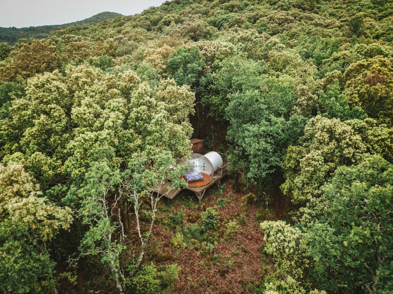 Hébergement AbracadaRoom : Pégase - Image 2