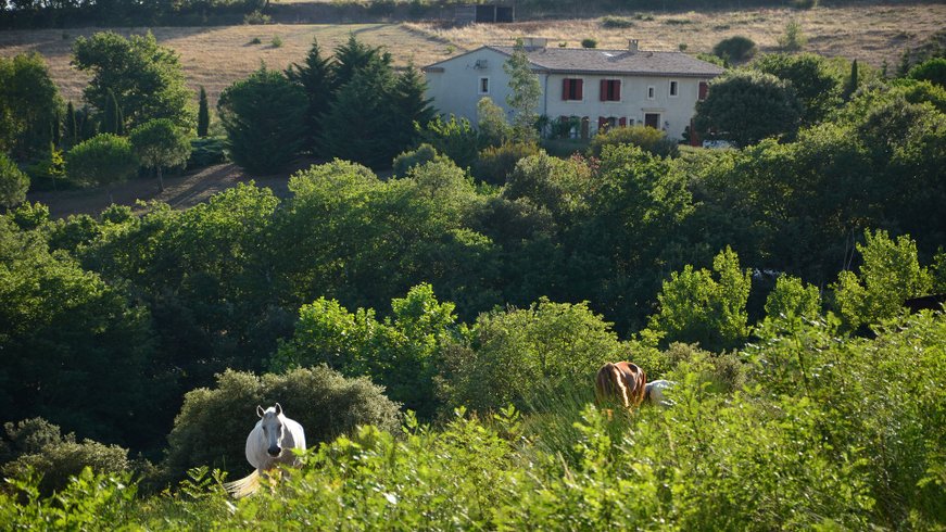 Domaine AbracadaRoom : Cabanes Trésors de Campagne - Image 2