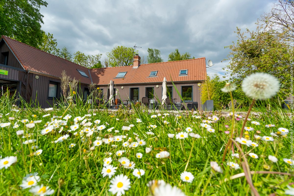 La cabane Haut-Perchée & Spa à Wail (13)