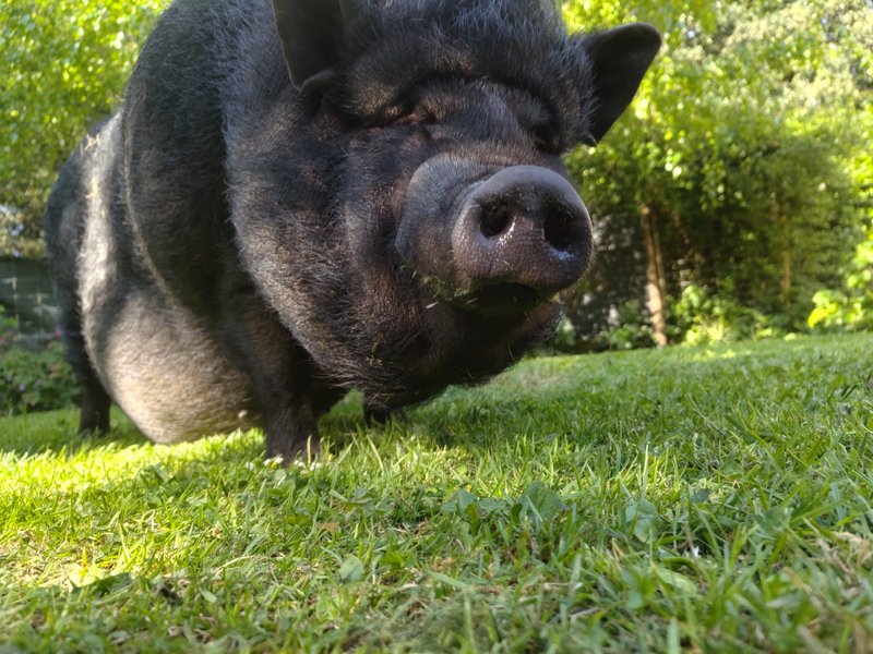 Hébergement AbracadaRoom : O'Logis de Grisette & SPA - Image 31