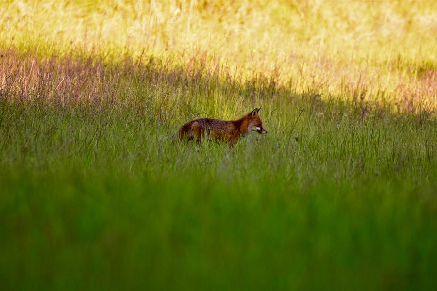 Domaine AbracadaRoom : Domaine Périgord Vacances - Image 7