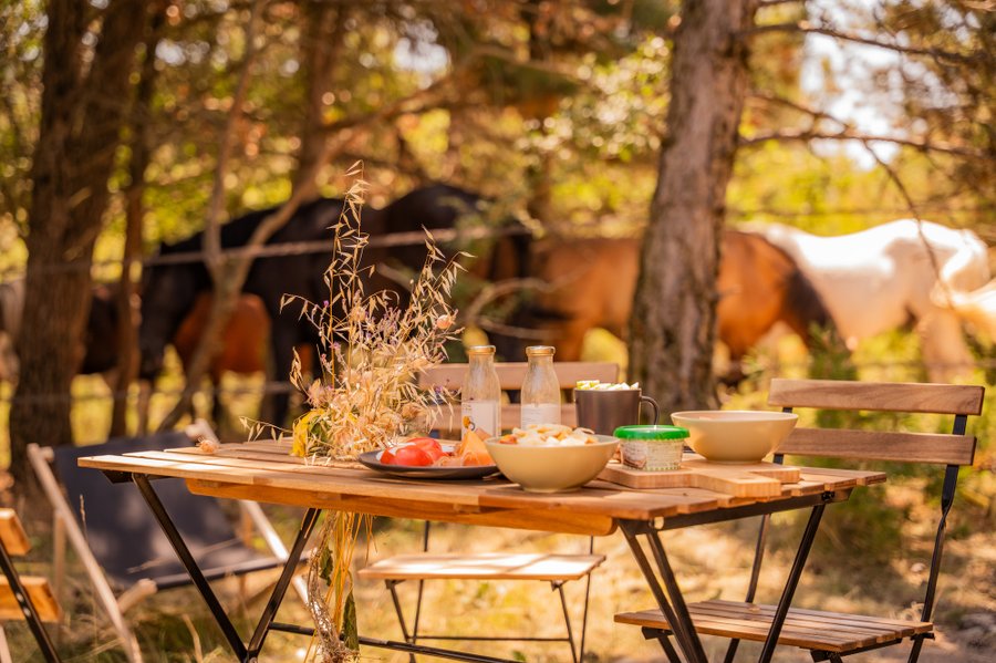 Hébergement AbracadaRoom : Homnest - L'Observatoire des Préalpes - Au coeur d'un haras - Image 3
