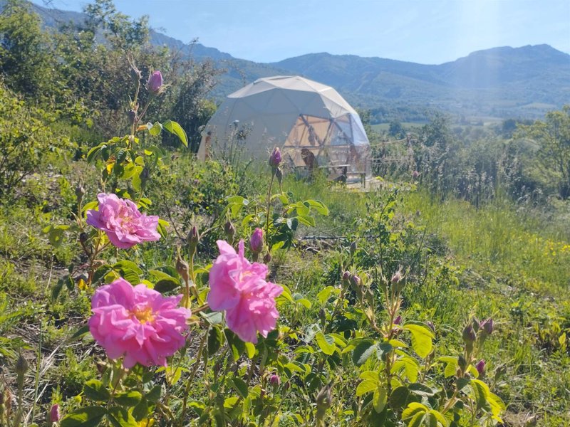 Hébergement AbracadaRoom : Dôme & Spa en Drôme provençale - Image 4