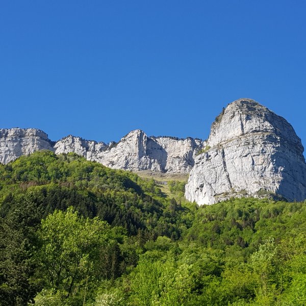 Domaine AbracadaRoom : Au Bois du Moulin - Image 13