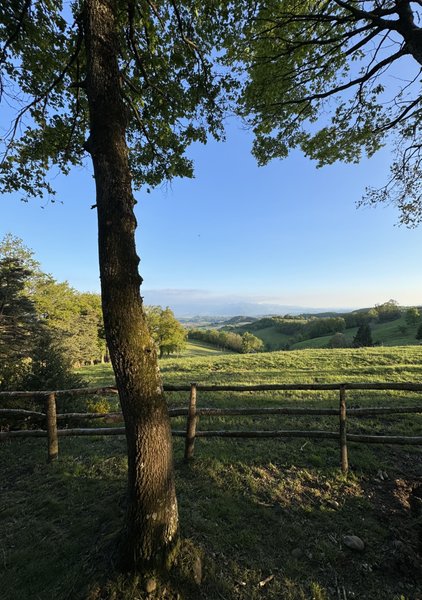 Domaine AbracadaRoom : Homnest (Bessins) - Image 18