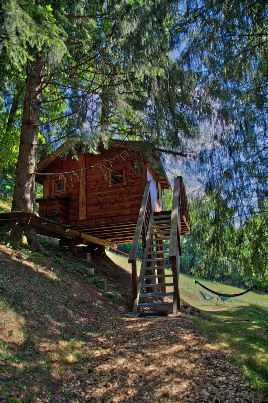 La Cabane dans les Arbres à Saint Jean D'aulps (16)