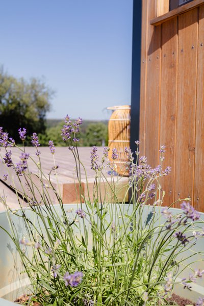 Hébergement AbracadaRoom : « Tiny House » Nature&calme • Pétanque&barbecue - Image 2