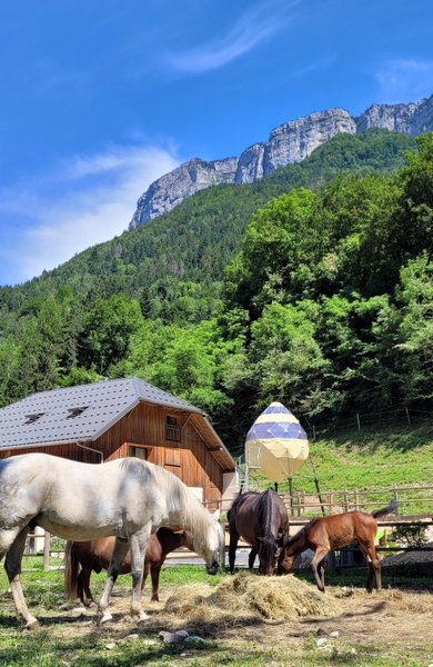 Domaine AbracadaRoom : Au Bois du Moulin - Image 1