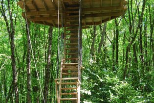Cabane dans les arbres Vienne