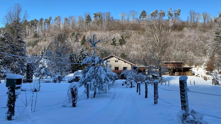 Hébergement AbracadaRoom : Le petit sabotier "Vue Forêt" - Image 19