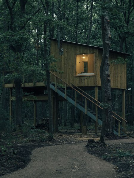 Domaine AbracadaRoom : Youza Ecolodge - Image 2