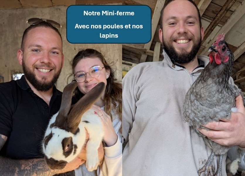 Hébergement AbracadaRoom : ECOLODGE LE PINOT GRIS - Image 27