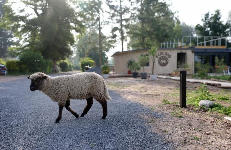 Domaine AbracadaRoom : Ecoland - Image 15