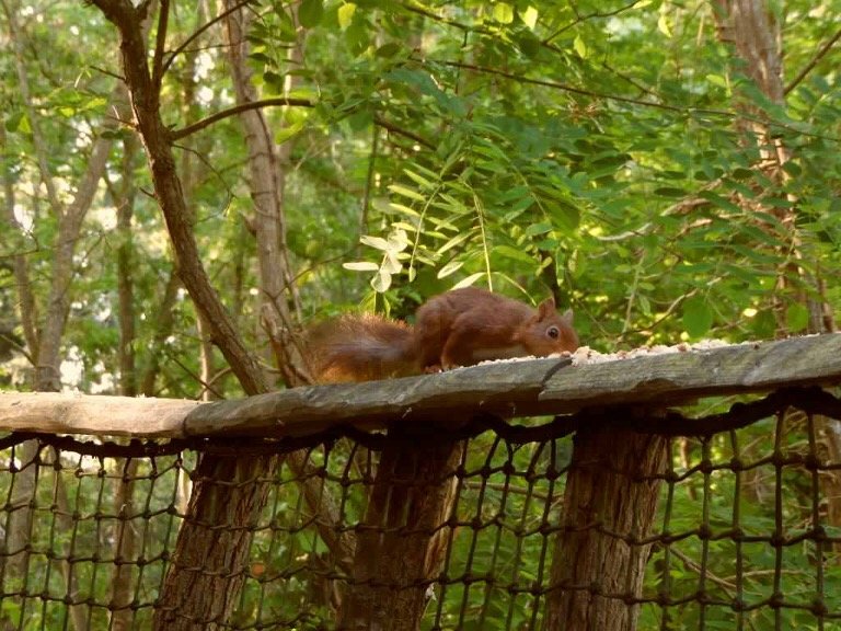 Hébergement AbracadaRoom : La Cabane du Pêcheur & Spa - Image 19