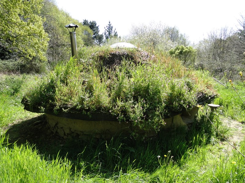 Domaine AbracadaRoom : The International Love-Shack Camp - Image 3