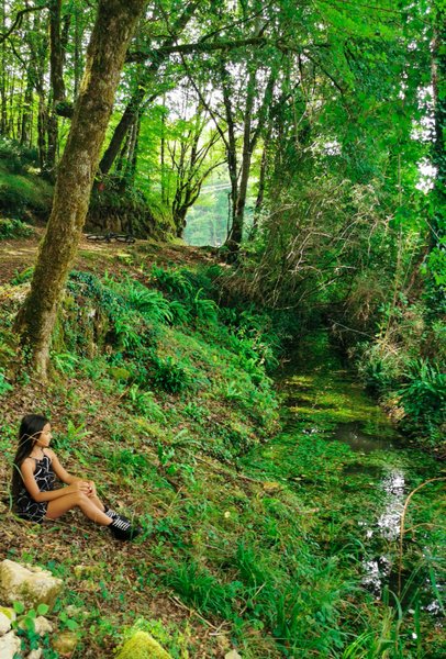 Hébergement AbracadaRoom : Gîte dans les bois, au coeur du Périgord noir avec étang privé - Image 20