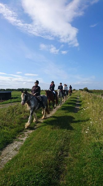 balade à cheval