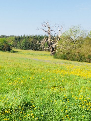 Domaine AbracadaRoom : Nuit Sauvage - Image 3