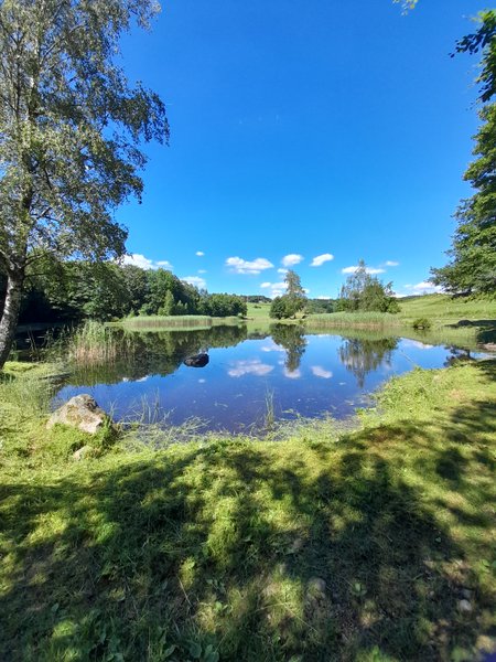 Domaine AbracadaRoom : TINY DES ETANGS - Image 6