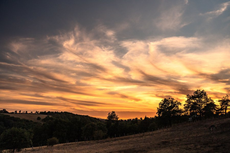 Hébergement AbracadaRoom : Homnest - Reflets de Loire - Vue sur les Gorges - Image 32