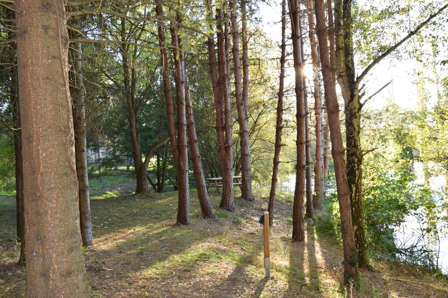 Domaine AbracadaRoom : Les Roulottes des Ris - Image 3