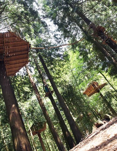 Hébergement AbracadaRoom : Cabane Tyrolienne n°5 - Image 3