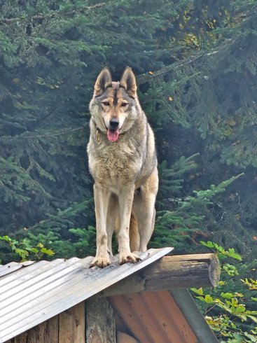 Domaine AbracadaRoom : Esprit du Nord - Image 35