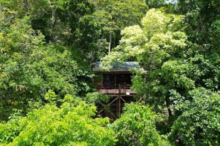 Cabane dans les arbres Guadeloupe
