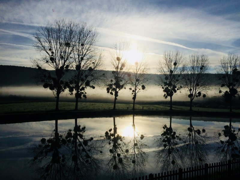 Hébergement AbracadaRoom : La Cabane Perchée & Spa - Image 19