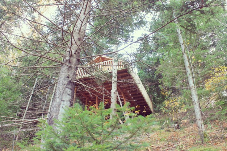 Hébergement AbracadaRoom : Cabane Séquoia 2 - Image 2