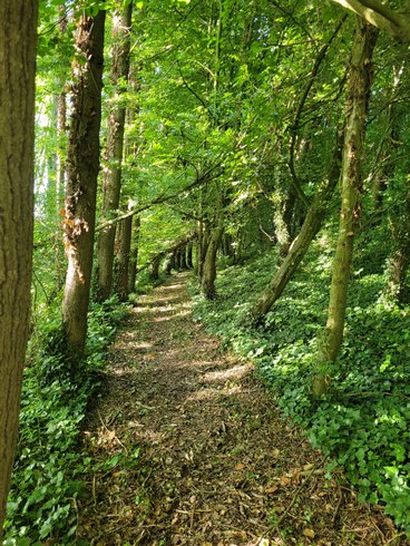 Hébergement AbracadaRoom : Yourte mongole - Image 12