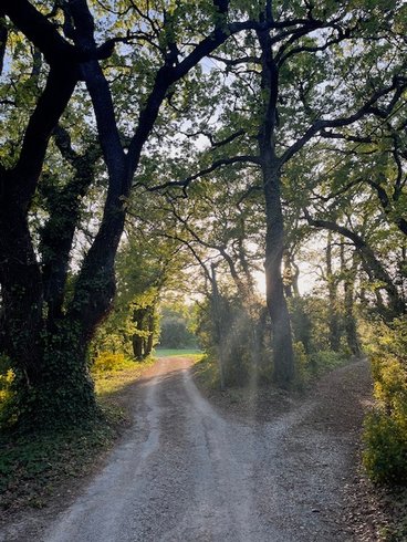 Domaine AbracadaRoom : LA ROULOTTE CHIC ET BOHEME - Image 13