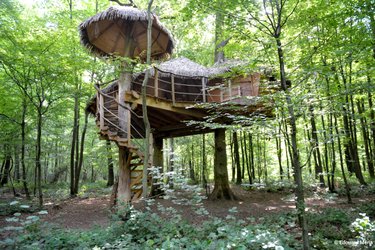 vue-face-robin-des-bois-fontaine-chatel