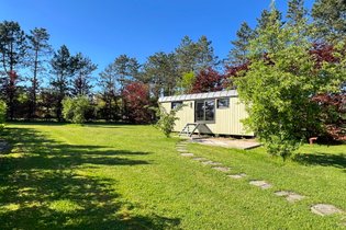 Pine Tree tiny cottage