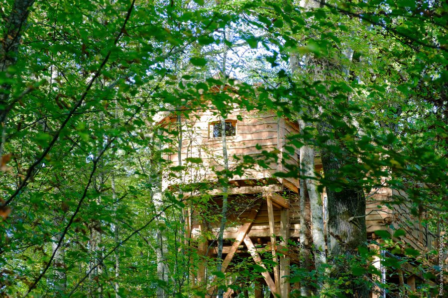 Hébergement AbracadaRoom : La Cabane du Grand Chêne & Spa - Image 6