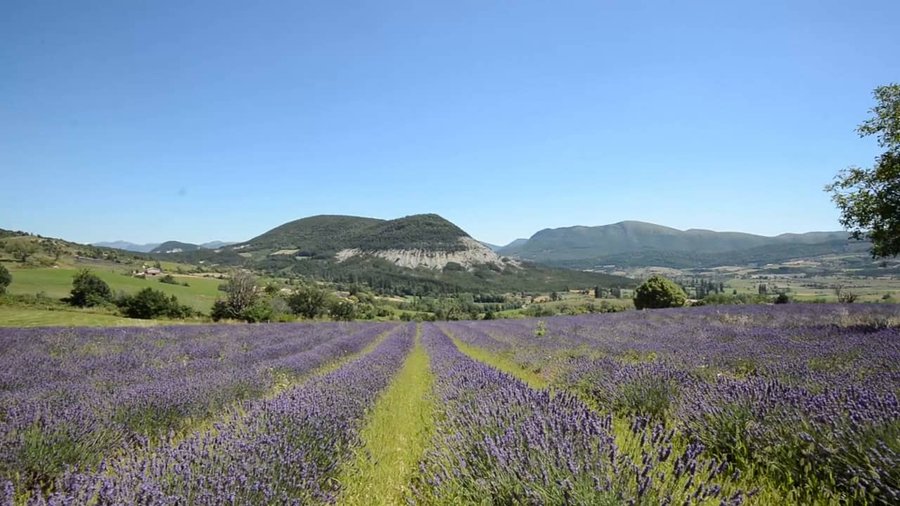 Domaine AbracadaRoom : Les Princes d'Orange - Image 14