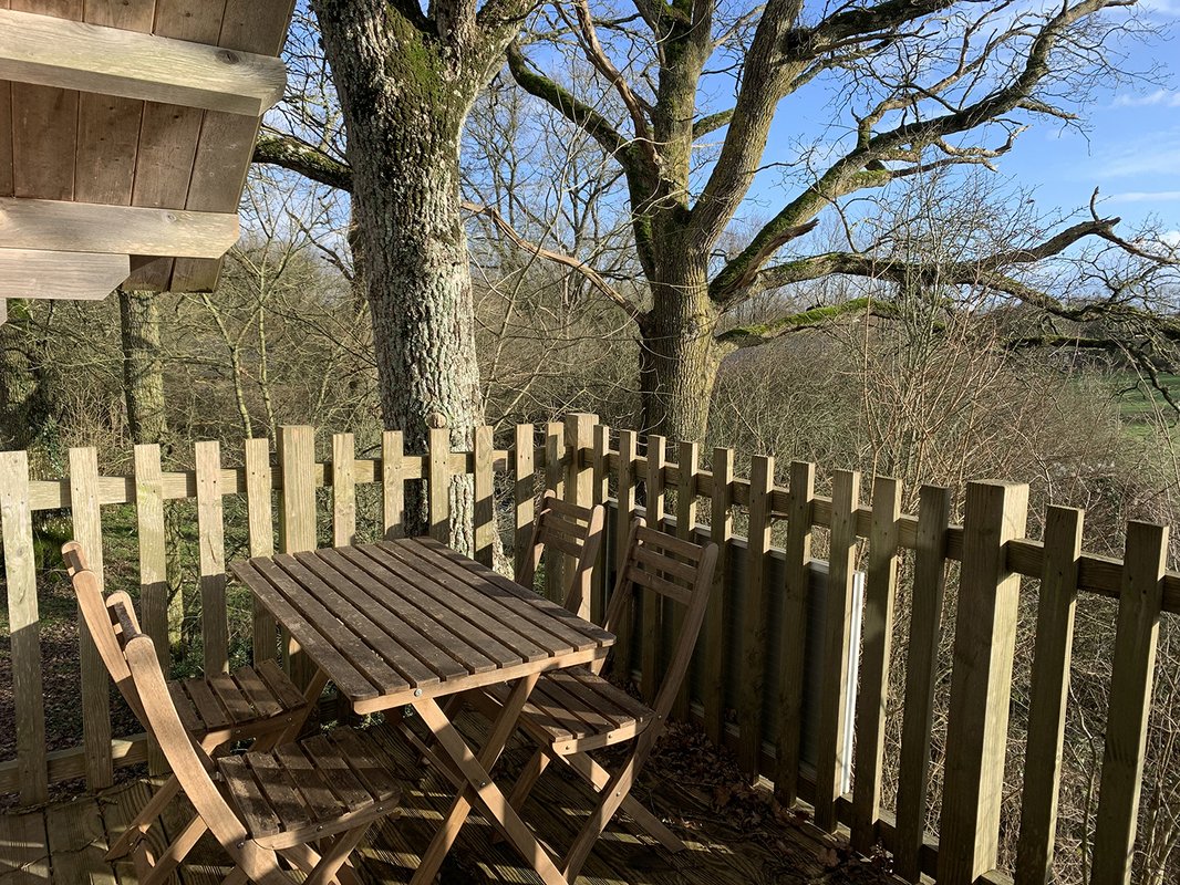 Cabane Perchée Chêne à Louverné (4)